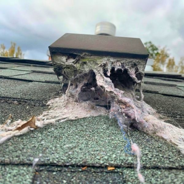 Dryer Vent Cleaning