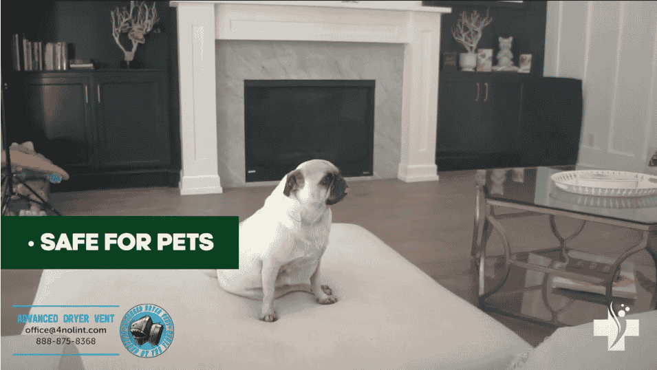 imgi_28_Screen-Shot-2022-06-03-at-11.22.10-AM