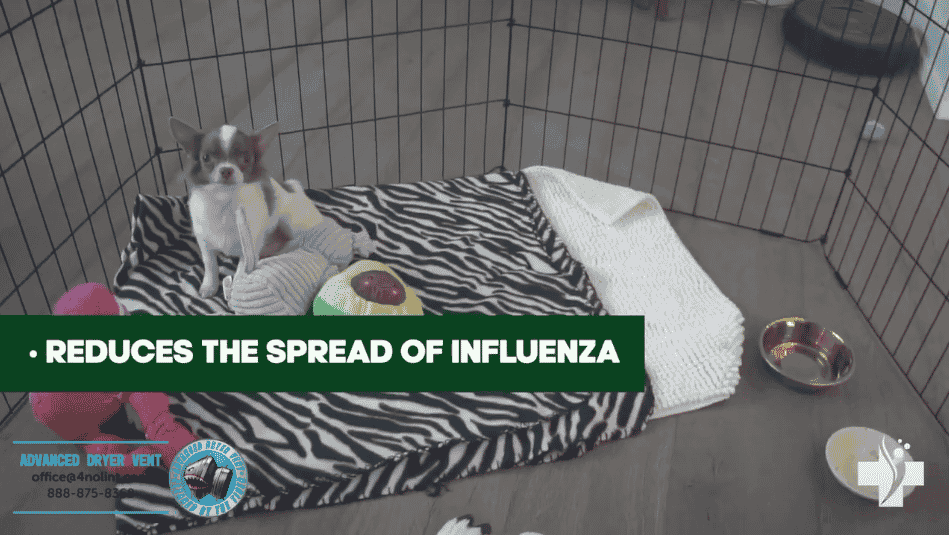 imgi_29_Screen-Shot-2022-06-03-at-11.23.08-AM