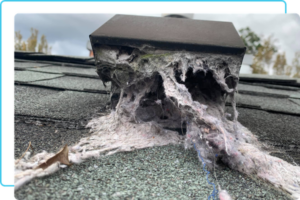 dirty dryer vent