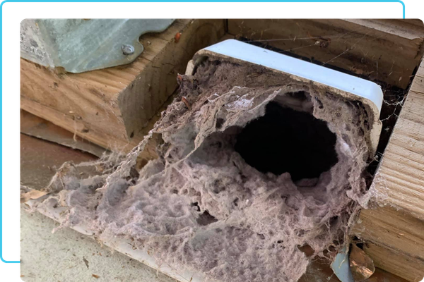 dirty dryer vent