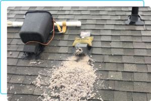 Routine Dryer Vent Maintenance
