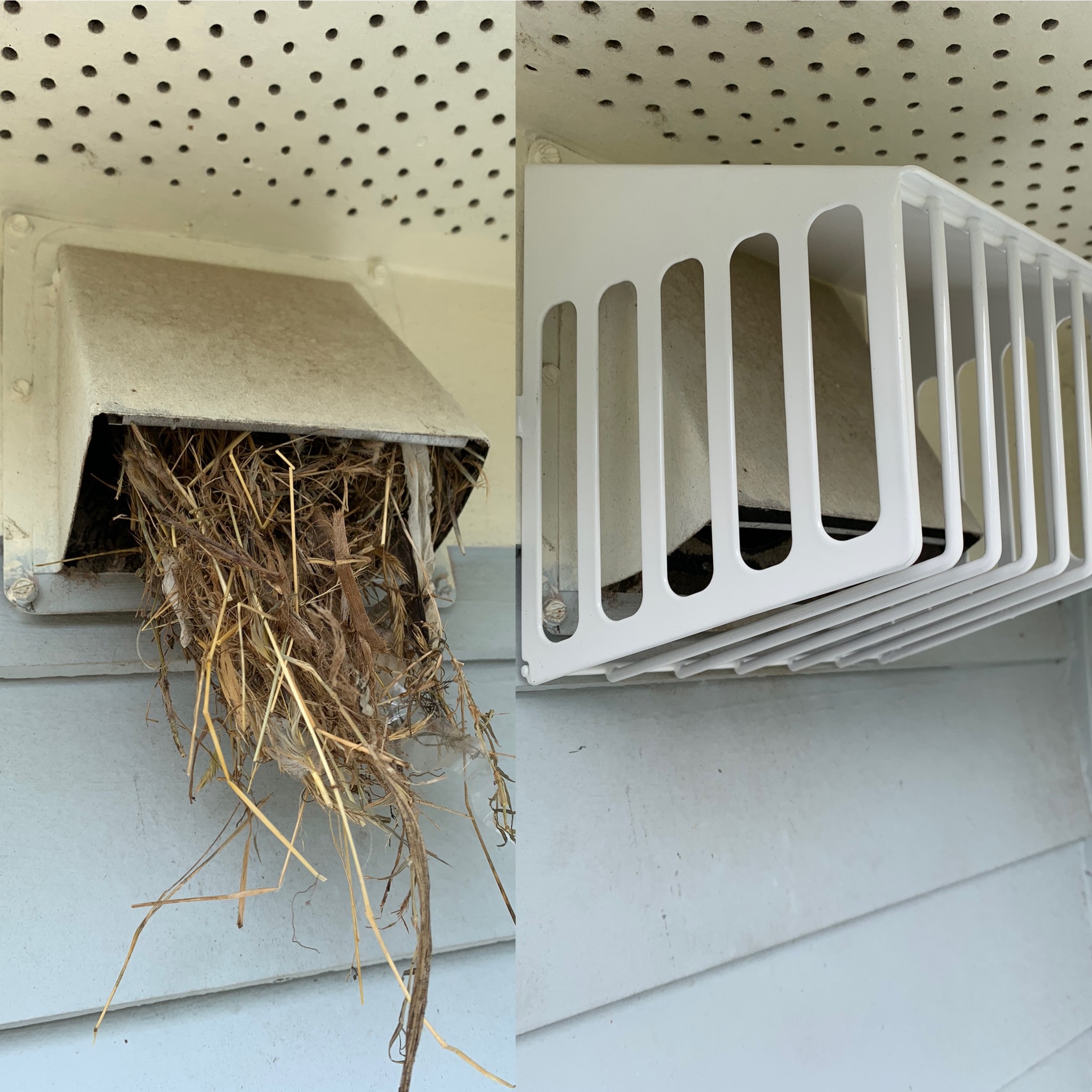Birds nest plus defender
