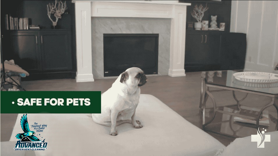 air-duct-sanitizing-bergen-county